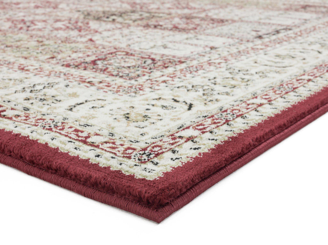 Dayamin Area Rug