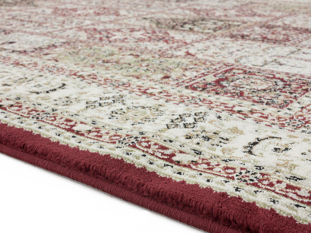 Dayamin Area Rug